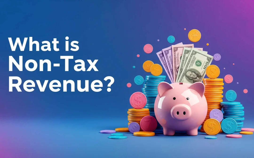 What is Non-Tax Revenue
